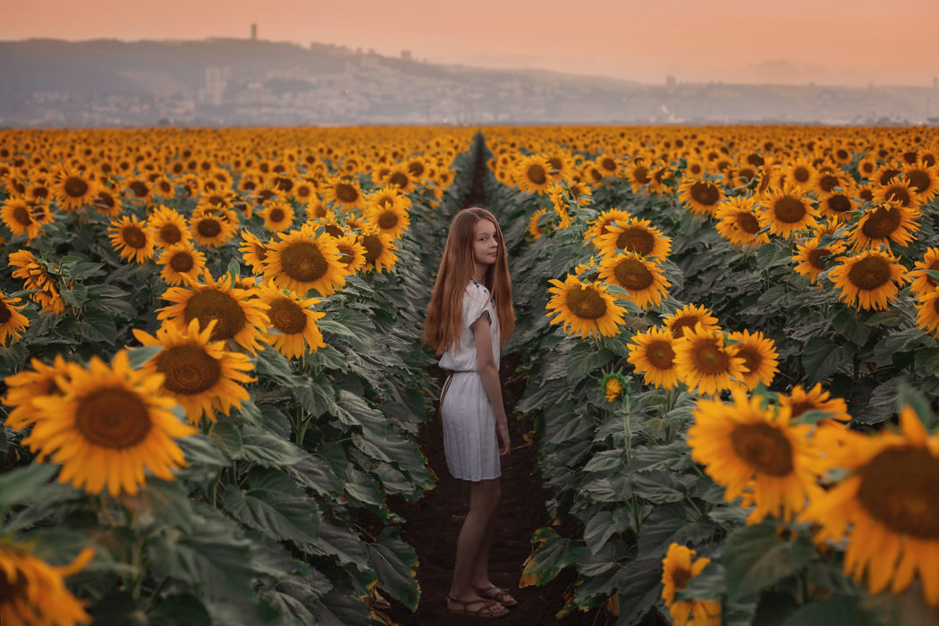 фотосессии в подсолнухах, Хайфа